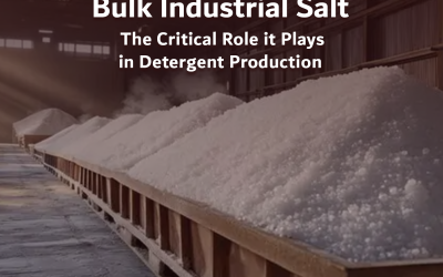 Bulk Industrial Salt: The Critical Role it Plays in Detergent Production