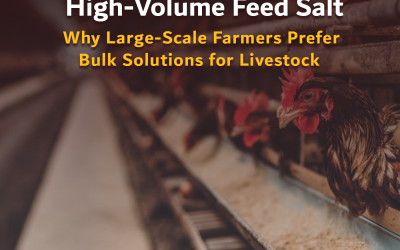 High-Volume Feed Salt: Why Large-Scale Farmers Prefer Bulk Solutions for Livestock
