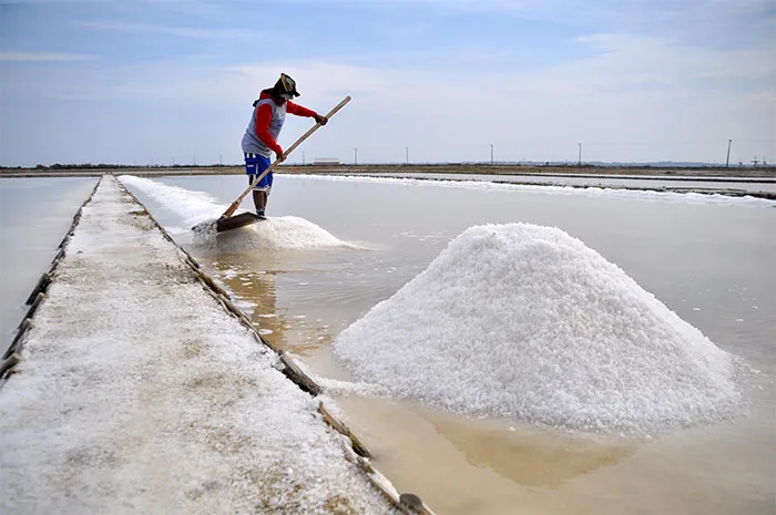 Chemical Grade Salt: How It Powers the Global Chemical Manufacturing Industry