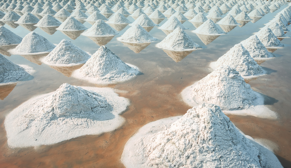 Desalination Plant Salt Supply: The Vital Role of Salt in Large-Scale Water Purification