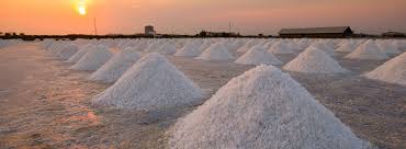 Food Salt Supplier Guide: A Comprehensive Comparison of Coarse vs. Fine Grades