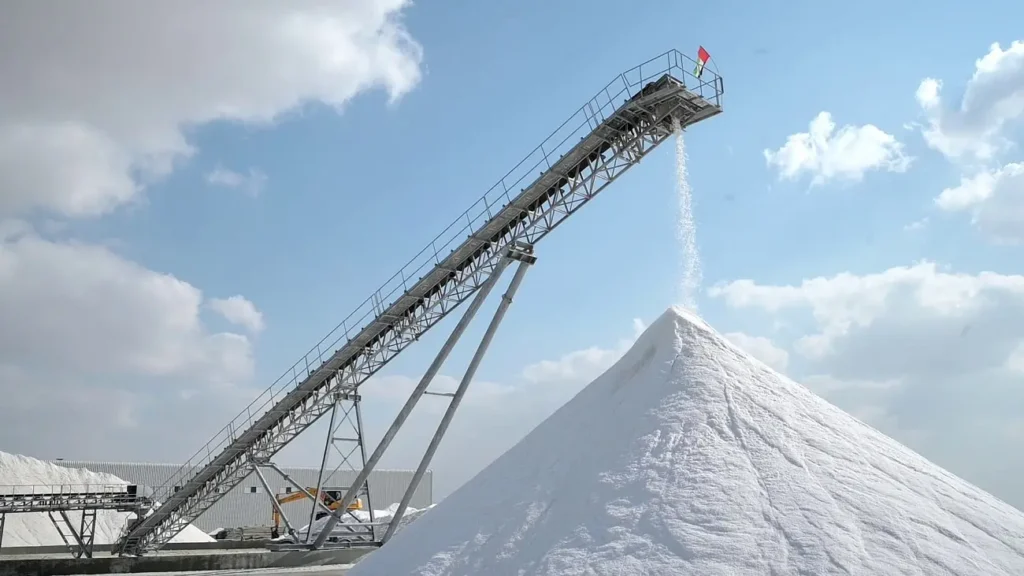 Bulk Industrial Salt: The Critical Role it Plays in Detergent Production