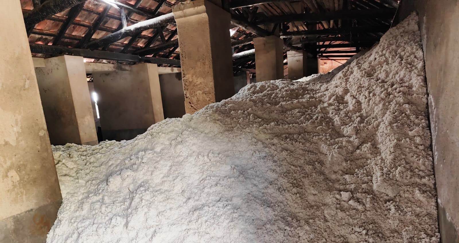 Bulk Animal Feed Salt: The Essential Role of Feed Grade Salt in Animal Nutrition