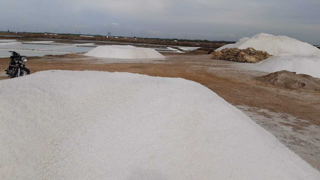 Edible Salt: The Strategic Benefits of Sourcing in Bulk for Food Processing