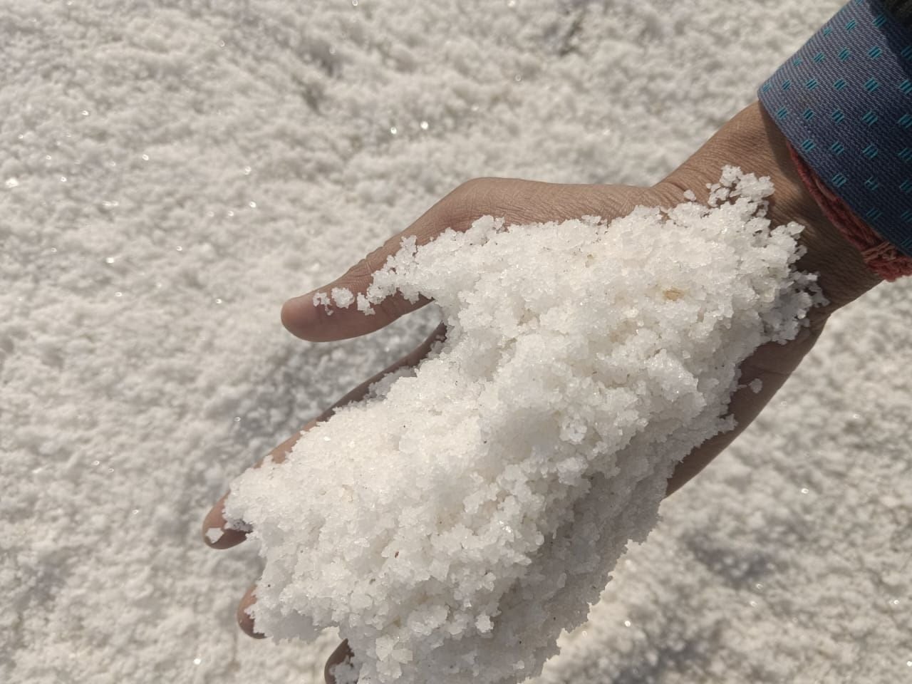 Food Grade Salt: The Ultimate Guide to Choosing the Best for Your Business