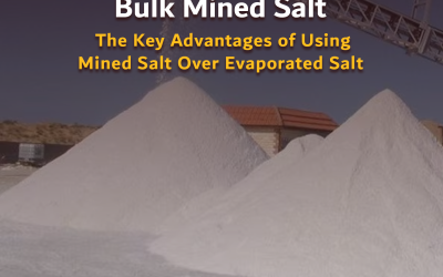 Bulk Mined Salt: The Key Advantages of Using Mined Salt Over Evaporated Salt