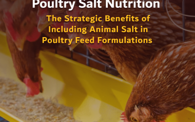 Poultry Salt Nutrition: The Strategic Benefits of Including Animal Salt in Poultry Feed Formulations