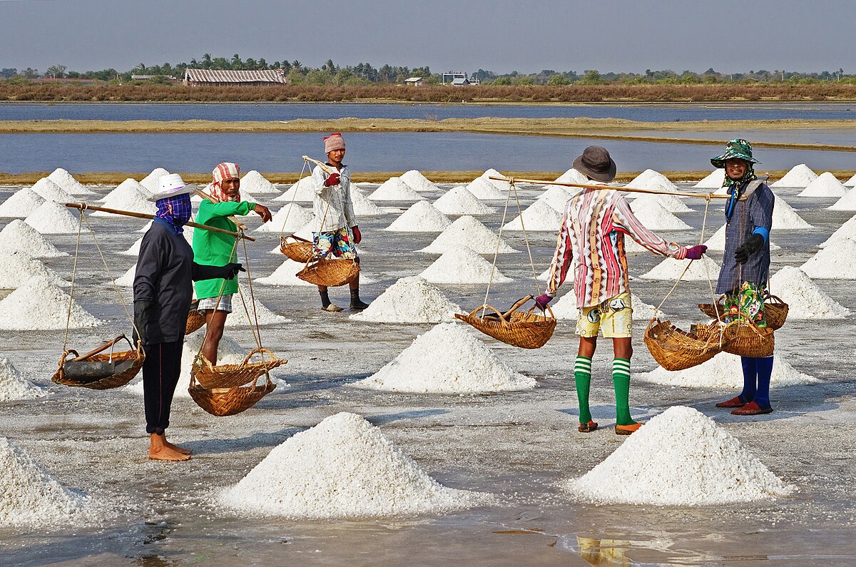 Livestock Salt Supplements: Why Salt for Livestock is Crucial for Growth and Productivity