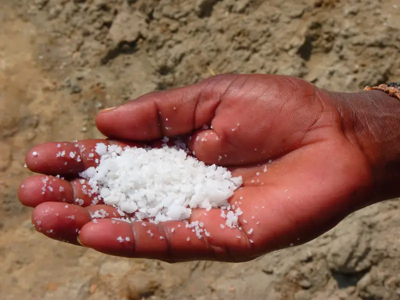 Refined Salt Production: How It Is Processed for Human Consumption