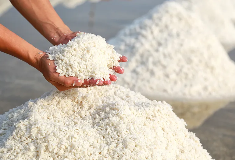 Refined Salt Production: How It Is Processed for Human Consumption