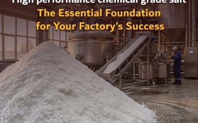 High performance chemical grade salt: The Essential Foundation for Your Factory’s Success