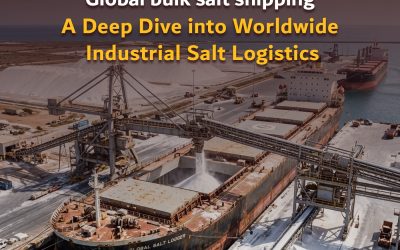 Global bulk salt shipping: A Deep Dive into Worldwide Industrial Salt Logistics