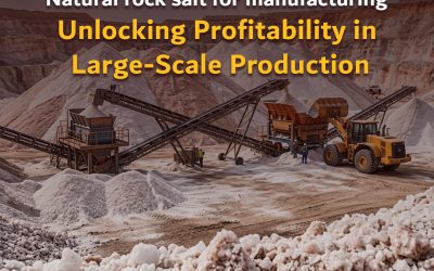 Natural rock salt for manufacturing: Unlocking Profitability in Large-Scale Production
