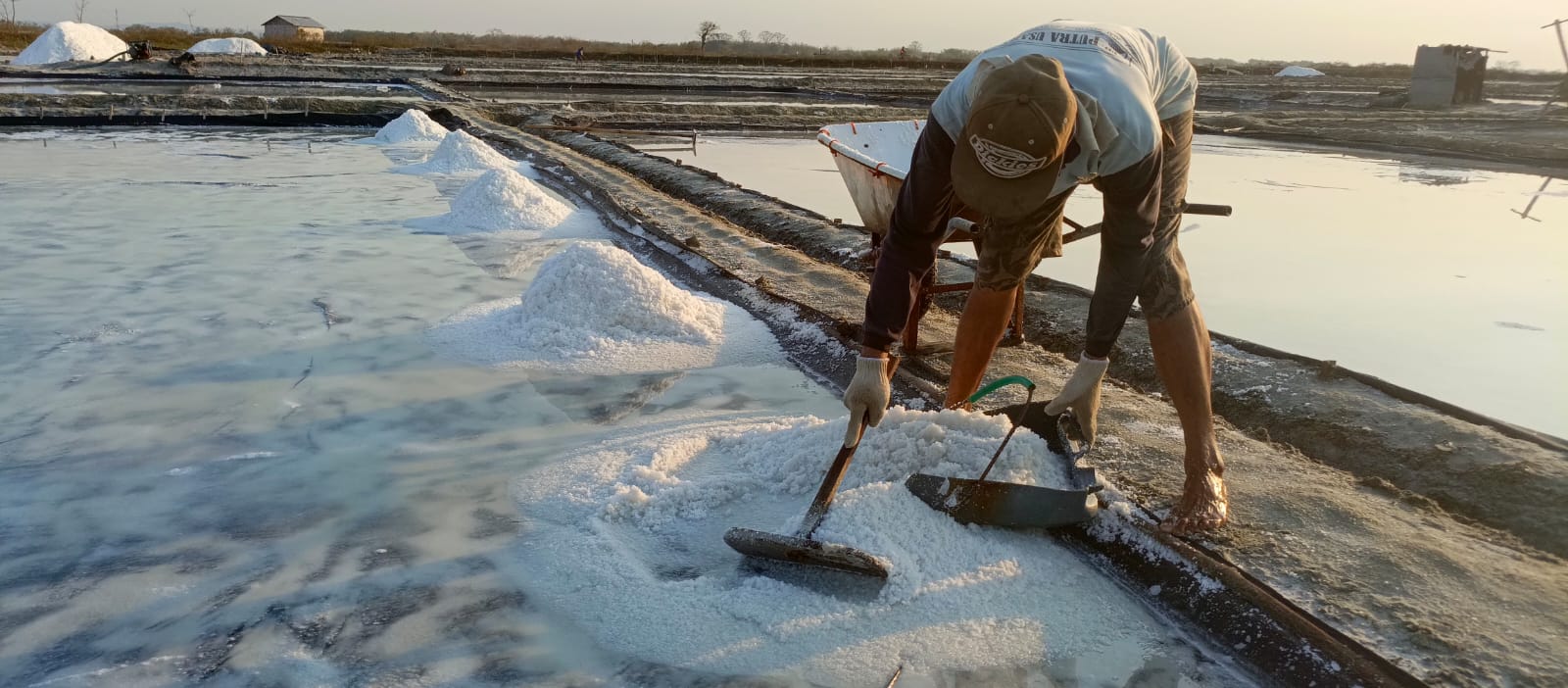 Industrial salt handling safety: Comprehensive Environmental Standards for Modern Industry