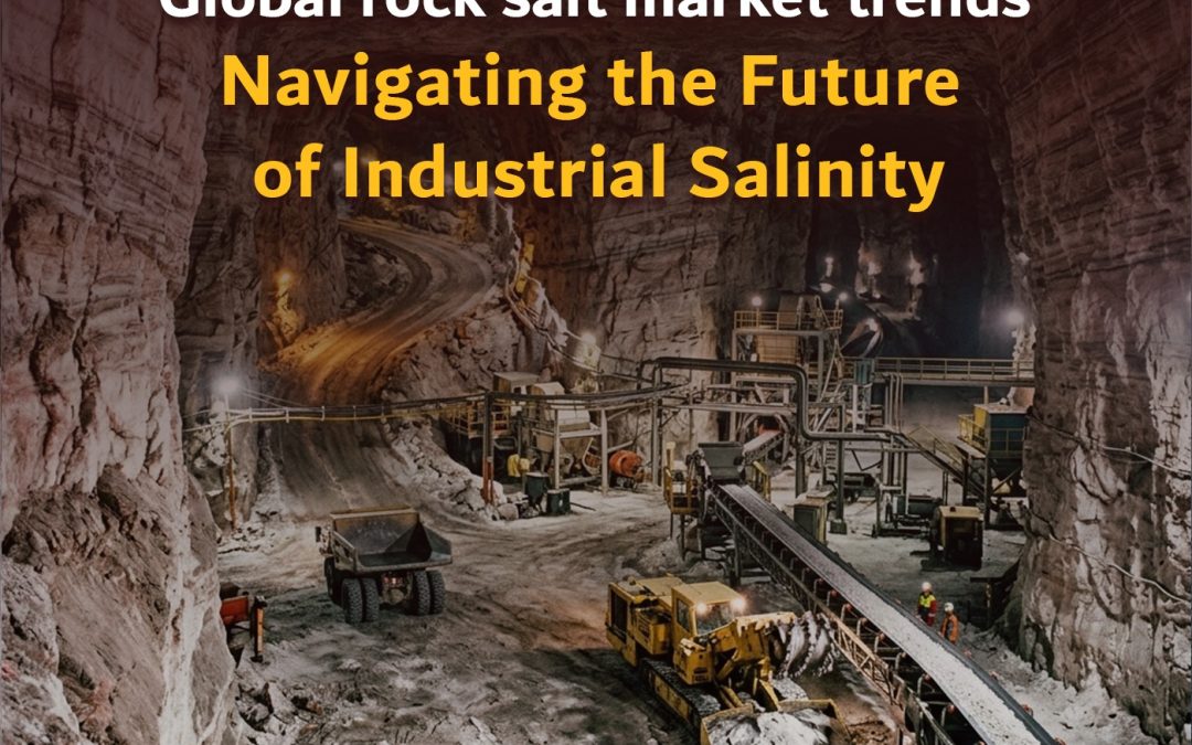 Global rock salt market trends: Navigating the Future of Industrial Salinity