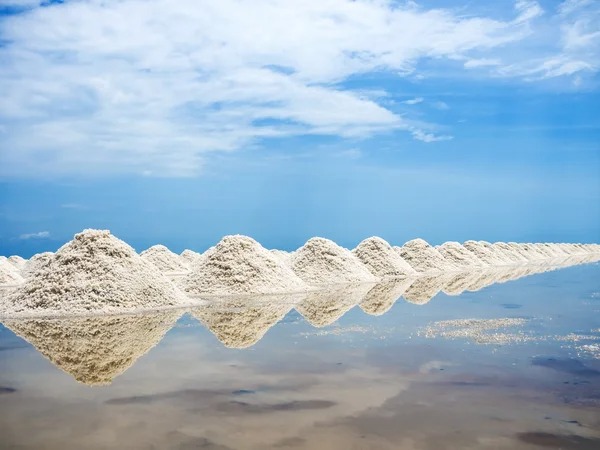 Natural rock salt supply chain: Navigating the Global Trade Routes of a Vital Mineral