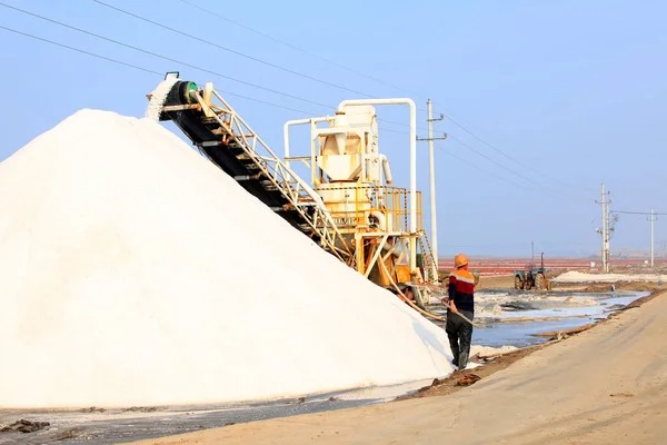 Bulk rock salt inventory management: A Professional Guide for Industrial Warehousing