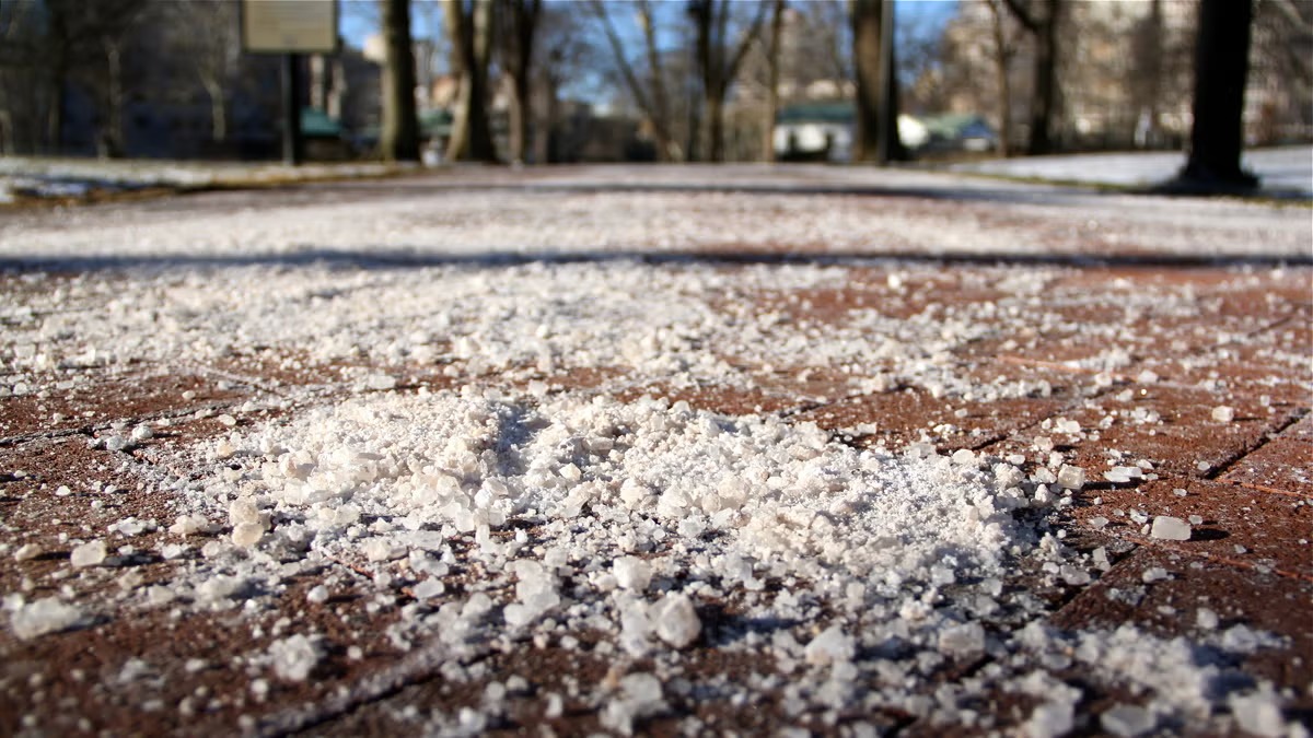 Rock salt refinement efficiency: How Raw Purity Dictates the Quality and Cost of the Final Product