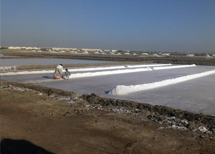 Industrial salt for infrastructure: Building the Foundation of Modern Cities